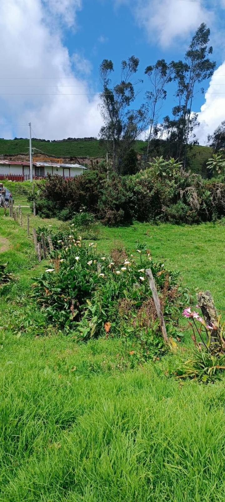 Refugio Paramo Trek Murillo Murillo (Tolima)