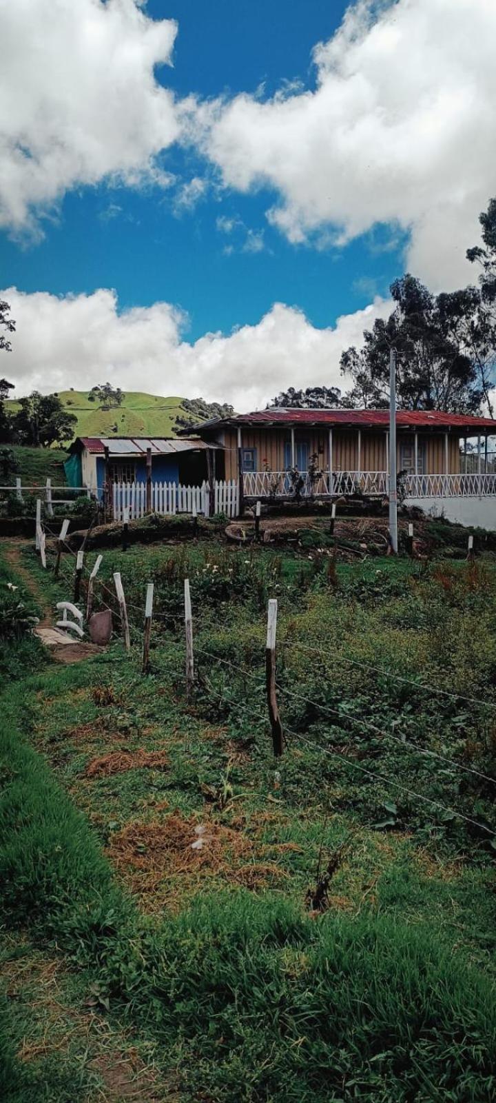 Refugio Paramo Trek Murillo Country house Murillo (Tolima)