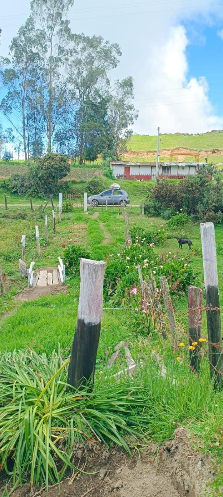 Country house Refugio Paramo Trek Murillo Murillo (Tolima)